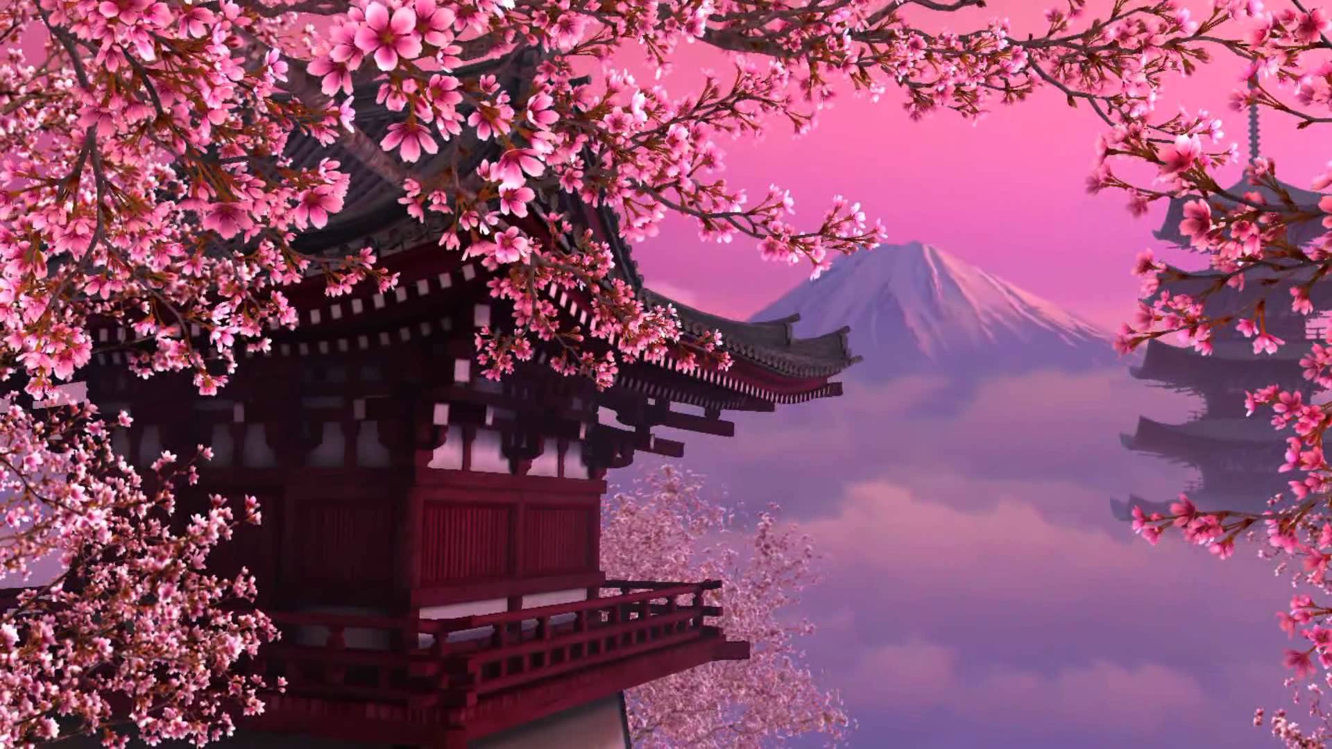 Enjoy the collection of beautiful wallpapers cherry blossoms