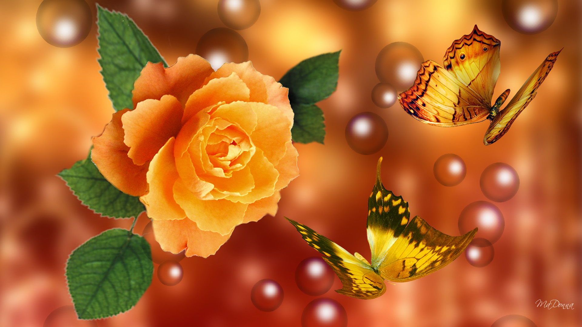 3D Yellow Rose Wallpapers | Best Yellow Rose HD LiveWallpaper | Geegle News