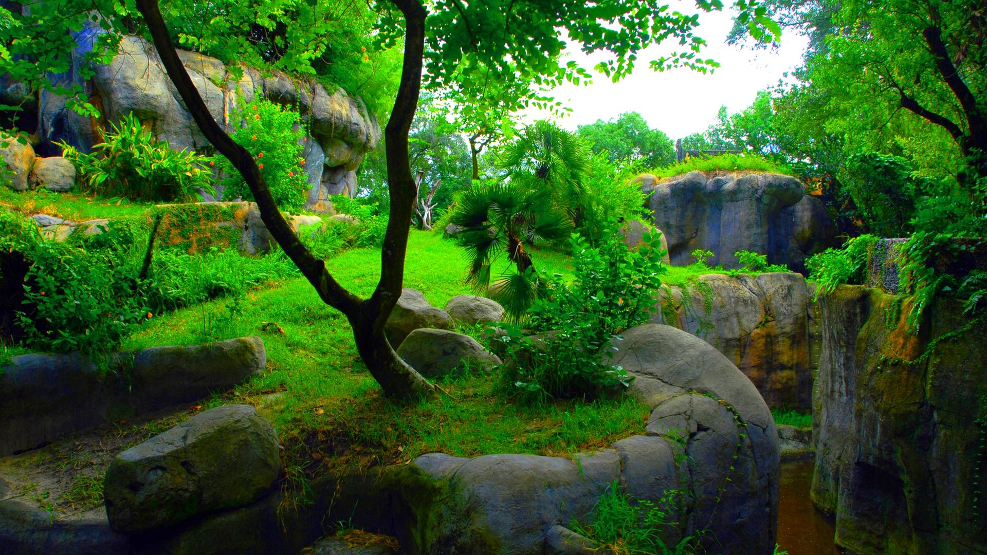 Green Background Nature Images Hd - 1080p HD Image Nature | PixelsTalk