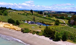 Top 10 beach hotels and B&Bs on New Zealand’s South Island