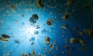 10 of the world’s best natural wonders … that you’ve probably never heard of