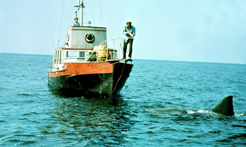 Diving with the shark attack survivor who filmed Jaws