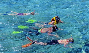 Great Barrier Reef, Queensland: where to dive, snorkel and stay