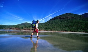 Great Barrier Reef, Queensland: where to dive, snorkel and stay