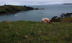 New travel challenges for the fit, fearless and freaky