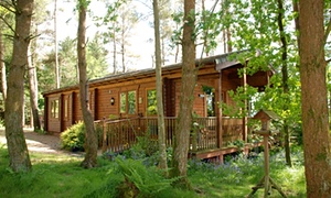 Top 10 UK cabins and lodges for families