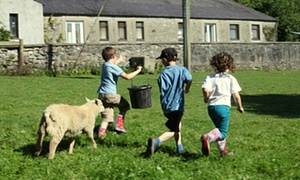 Top 10 family farmstay holidays in the UK