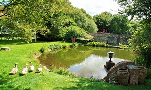 Top 10 family farmstay holidays in the UK