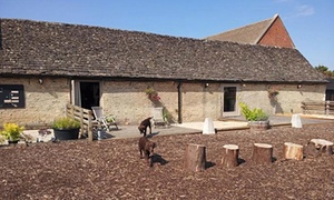 Top 10 family farmstay holidays in the UK