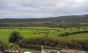 Top 10 family farmstay holidays in the UK
