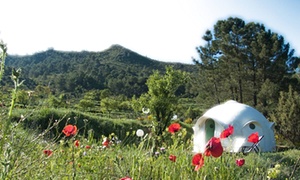 Top 10 family hotels and campsites in Europe