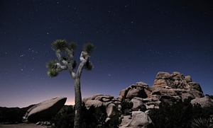 Top 10 national parks in California