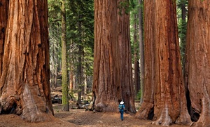Top 10 national parks in California