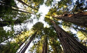 Top 10 national parks in California