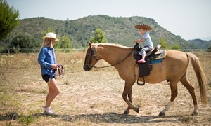 Top 20 family holidays in Europe this summer