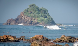 Tropical retreat: surfing and yoga in Sri Lanka