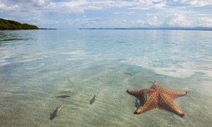 Beaches with wow factor