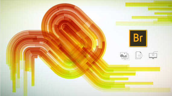 Latest update signals that Adobe hasn't yet burned its Bridge CC