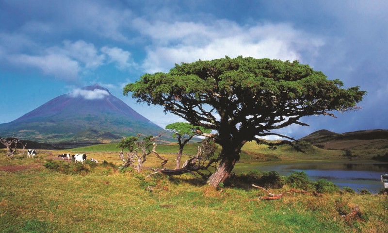 The Azores holiday guide: what to see plus the best bars, restaurants and places to stay