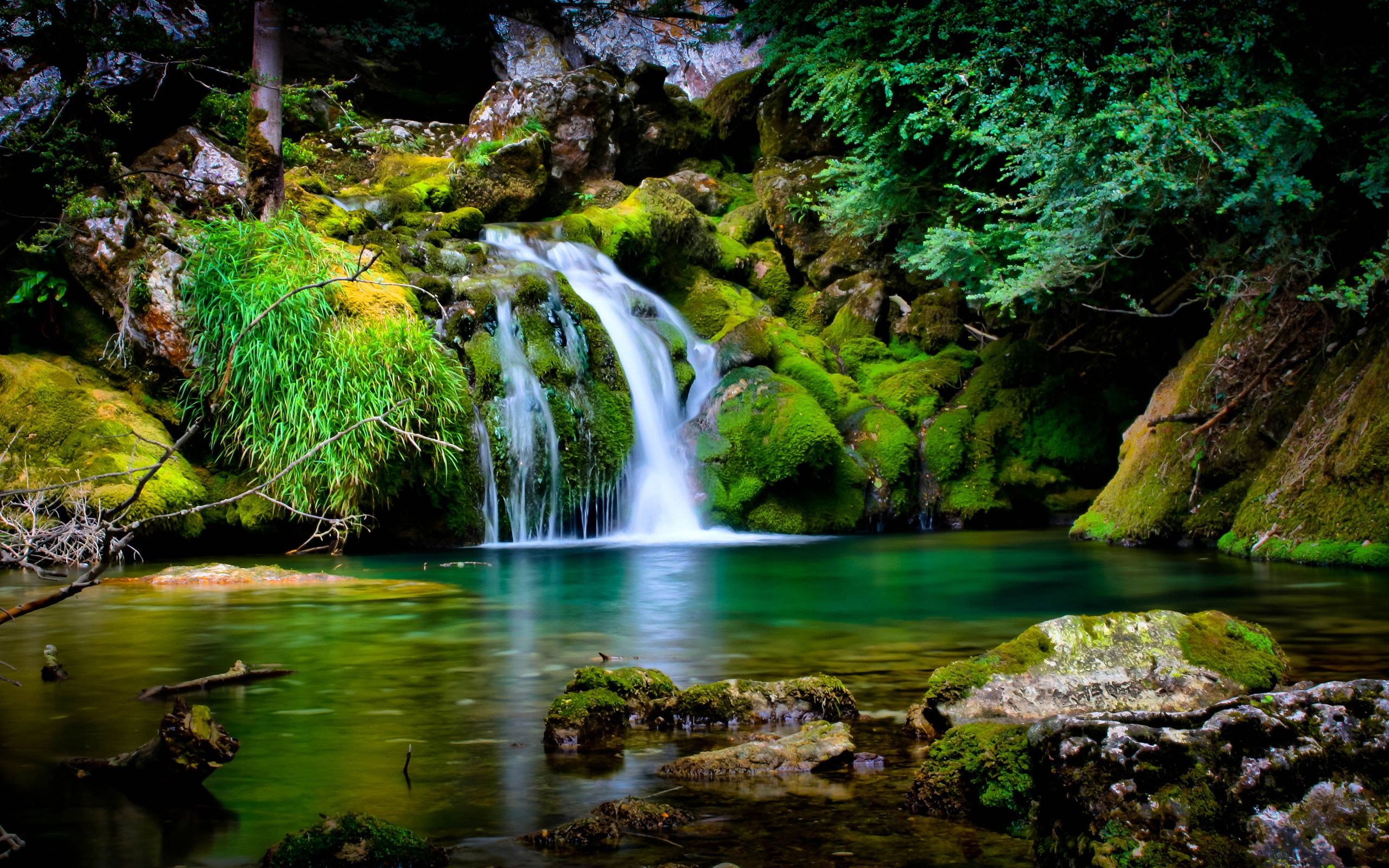 beautiful-nature-wallpaper-4