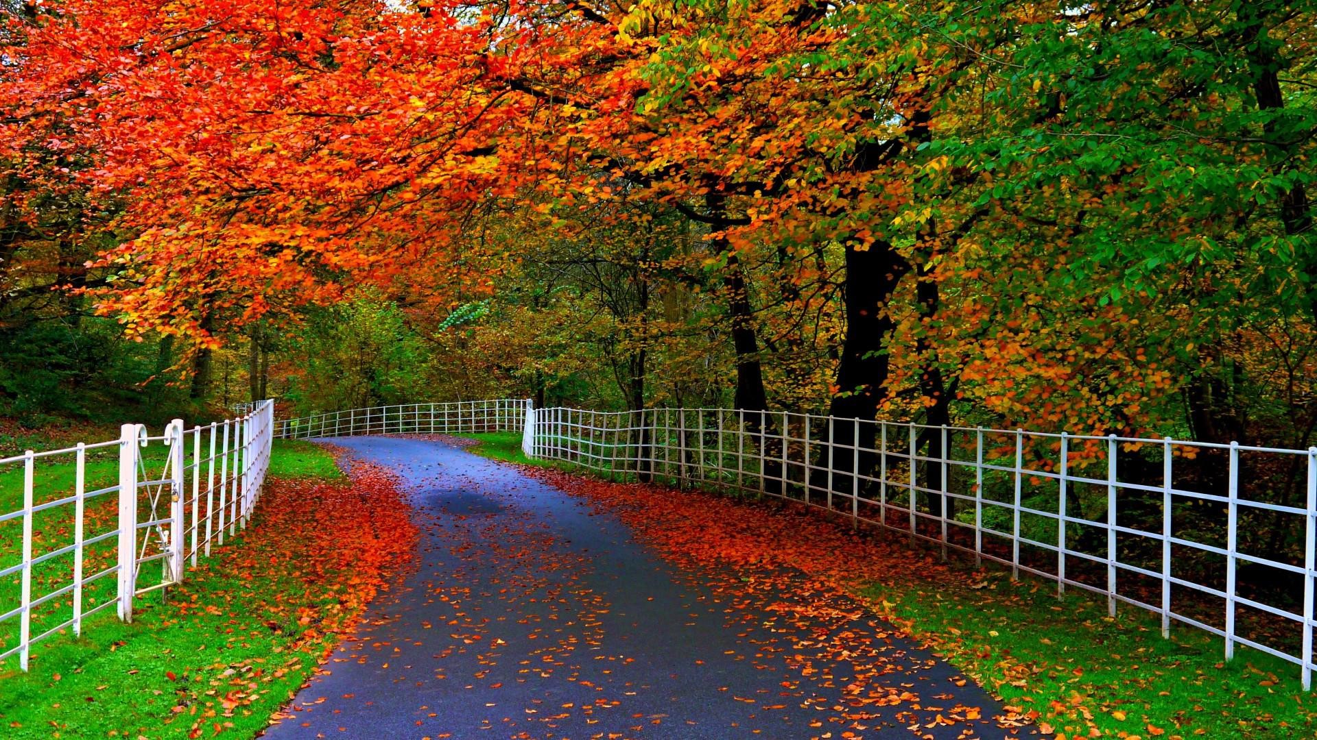 beautiful-nature-wallpaper-5
