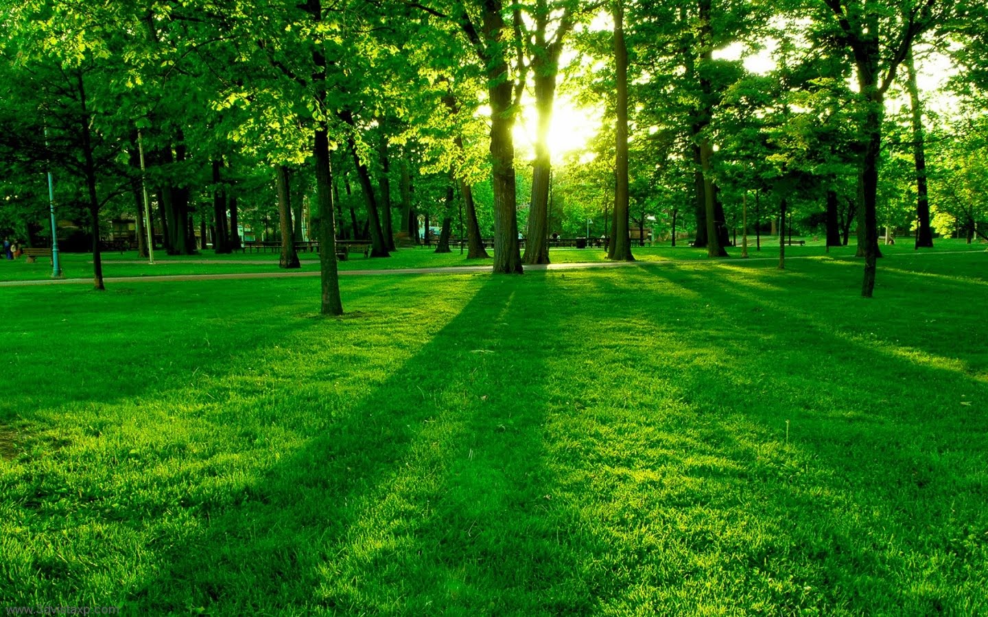 beautiful-nature-wallpaper