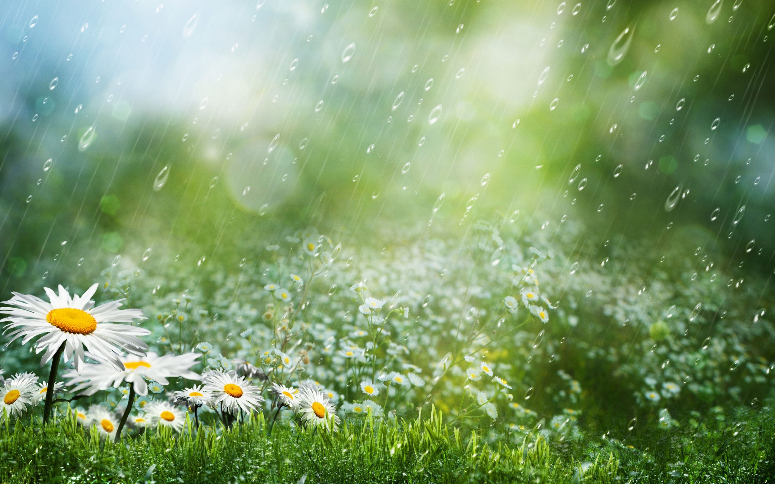 beautiful rainy day wallpapers for pc