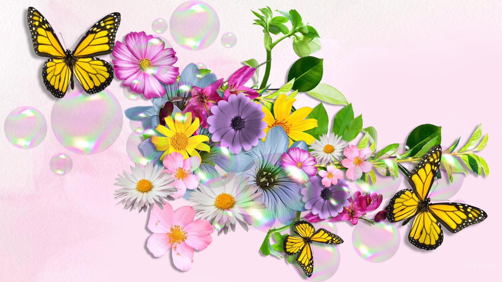 butterfly-wallpaper-4