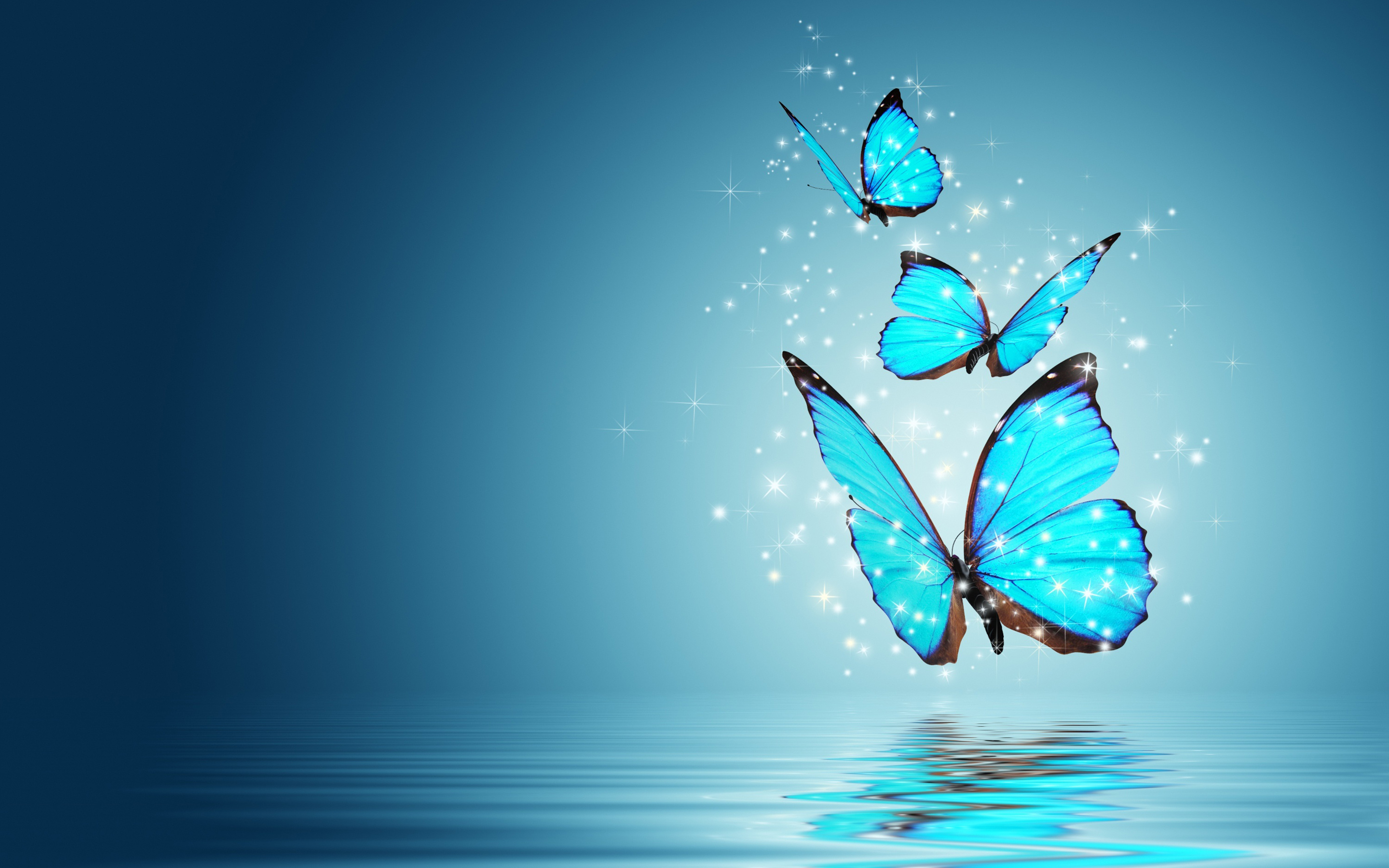 butterfly-wallpaper-9