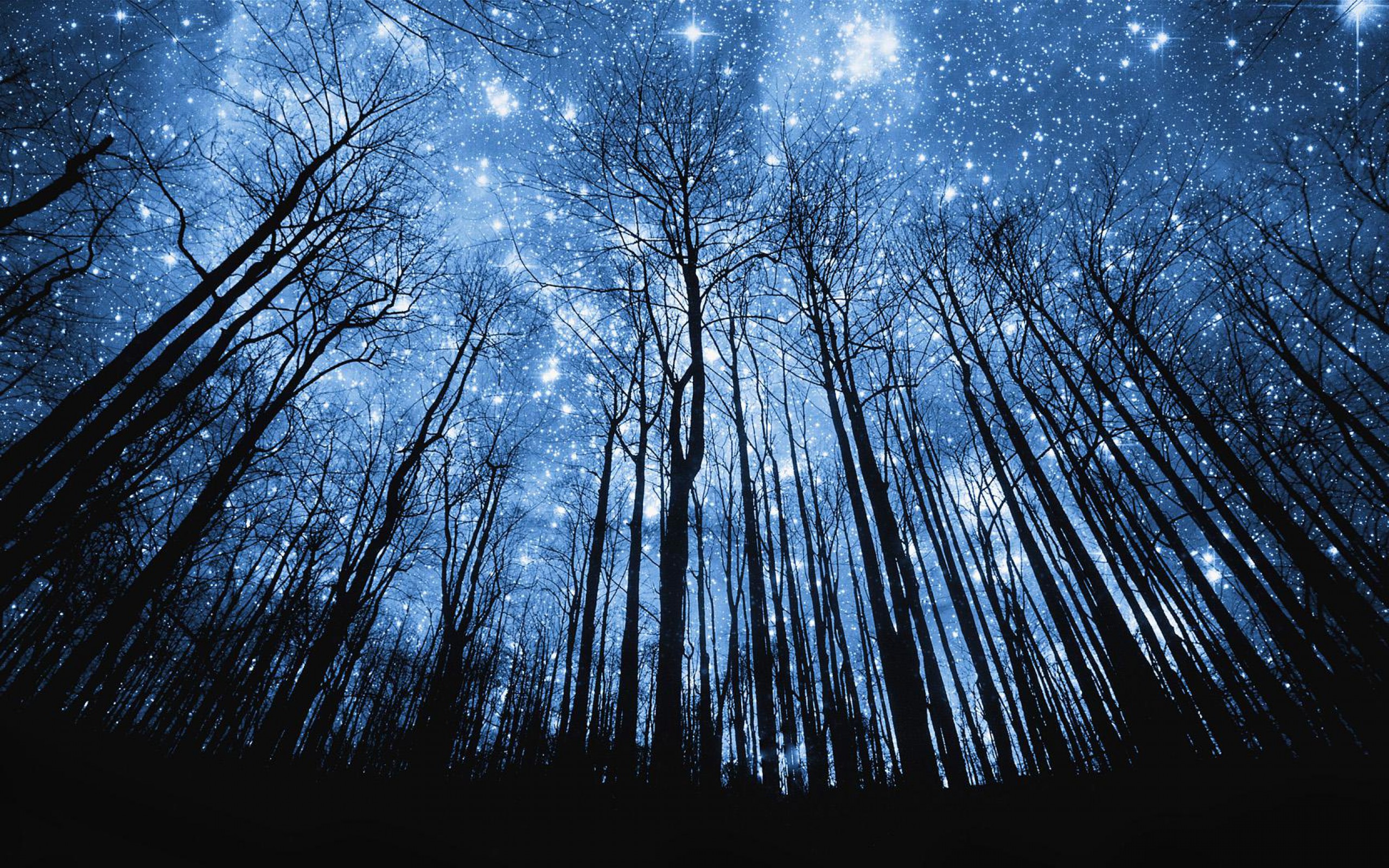 star-beautiful-wallpaper-3