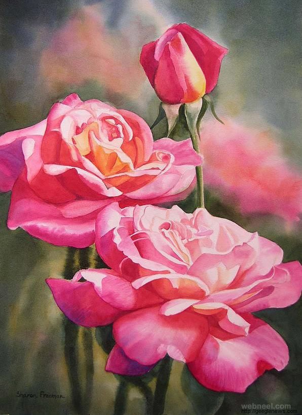 25 Beautiful Rose Drawings and Paintings for your