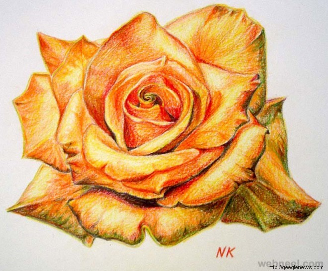 25 Beautiful Rose Drawings and Paintings for your inspiration - Geegle News