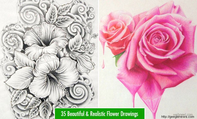25 Beautiful Rose Drawings and Paintings for your inspiration - Geegle News