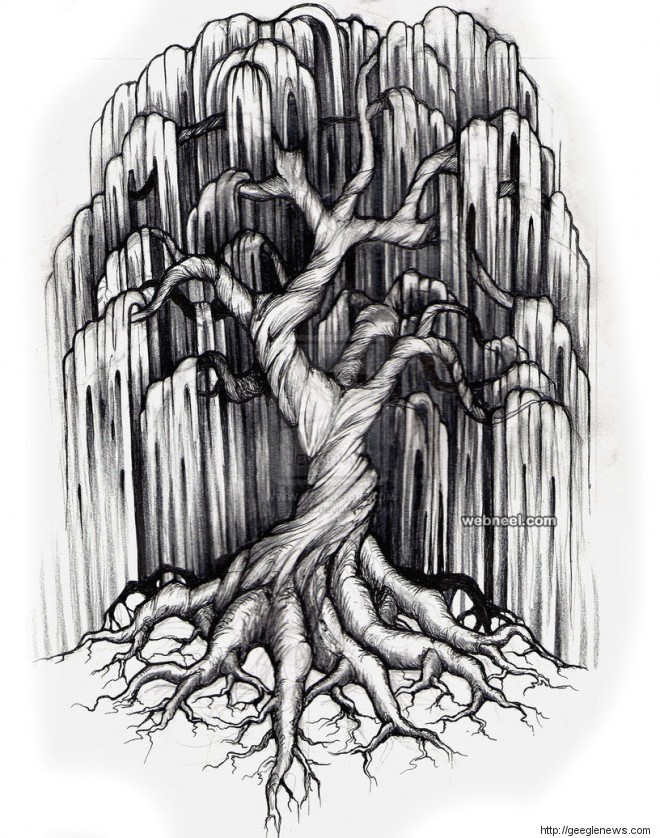 New Top Unique Tree Drawings